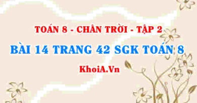 Bài 14 trang 42 Toán 8 Chân trời sáng tạo Tập 2